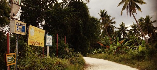 BASDAKO. One of my most memorable runs was the one from Hale Manna in Basdako, Moalboal to the Poblacion and back. Basdako is a beautiful place for running. You can then end your run with a dip in its gorgeous beach and clear waters teeming with marine life.