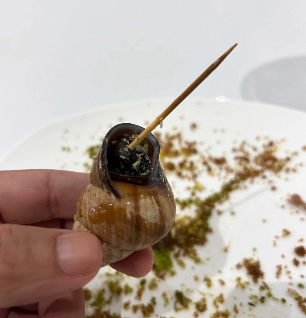 TAKYONG. This is a native snail that’s quite tasty when cooked right. You can have it as part of the tasting menu in my friend’s restaurant, Sialo. He sources the takyong from farmers in Camon.